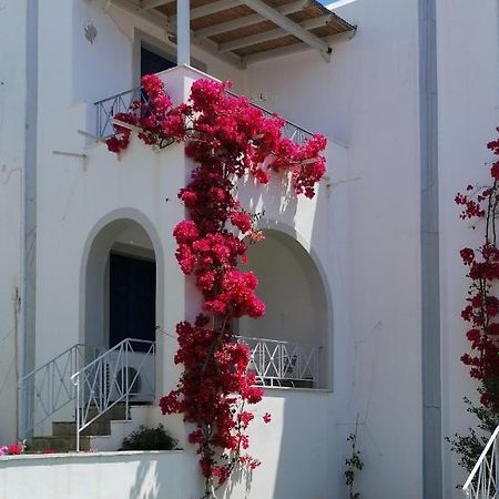 Allegria Family Hotel Agios Petros  Exterior photo